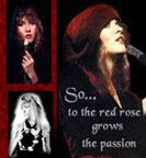 So...to the red roses grows the passion