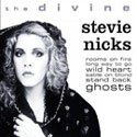 The Divine Stevie Nicks